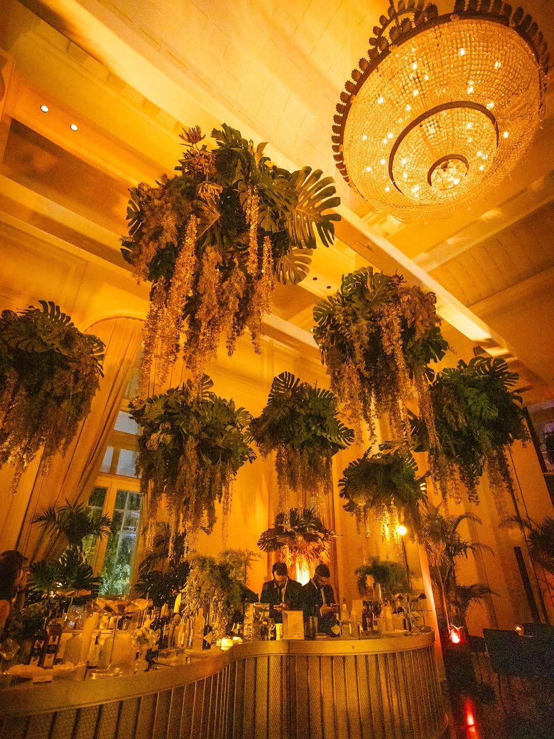 Bar decorado com plantas e lustre